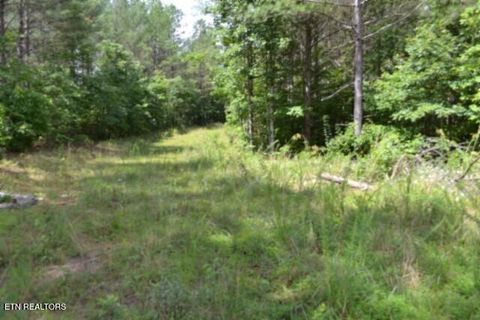 Tiny photo for 318 Rhodas Way Way, Sunbright, TN 37872 (MLS # 1348447)