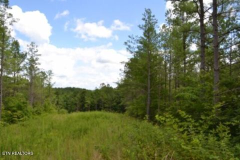 Tiny photo for 318 Rhodas Way Way, Sunbright, TN 37872 (MLS # 1348447)