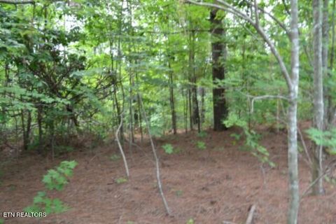 Tiny photo for 318 Rhodas Way Way, Sunbright, TN 37872 (MLS # 1348447)
