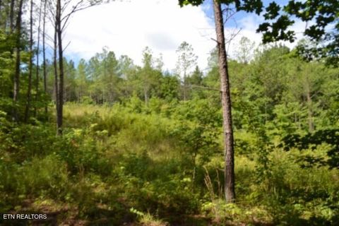 Tiny photo for 318 Rhodas Way Way, Sunbright, TN 37872 (MLS # 1348447)