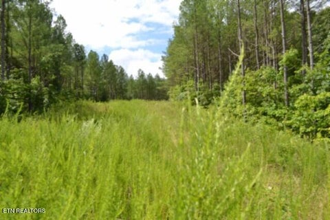 Tiny photo for 318 Rhodas Way Way, Sunbright, TN 37872 (MLS # 1348447)