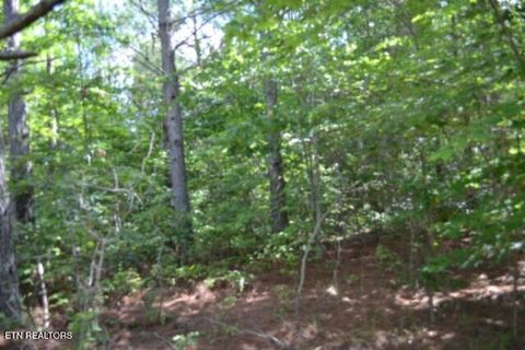 Tiny photo for 318 Rhodas Way Way, Sunbright, TN 37872 (MLS # 1348447)