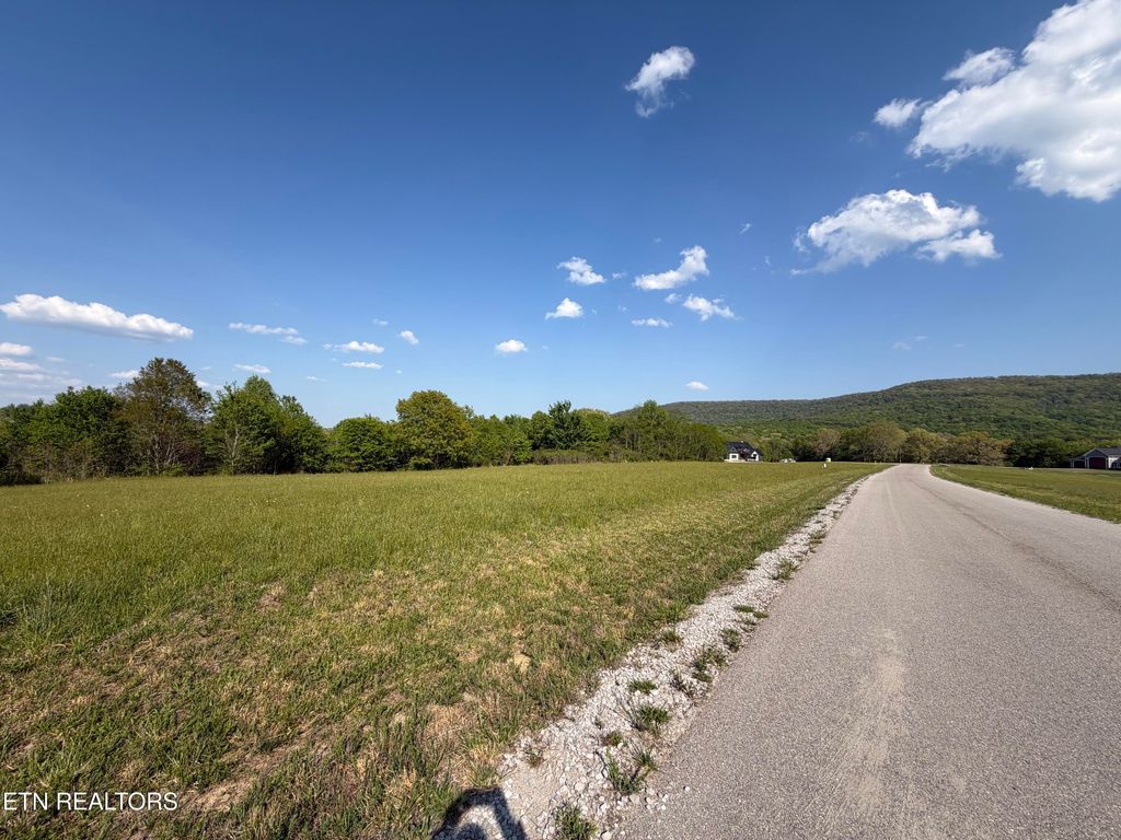 Photo of 45 Houston Drive, Crossville, TN 38555 (MLS # 1338150)