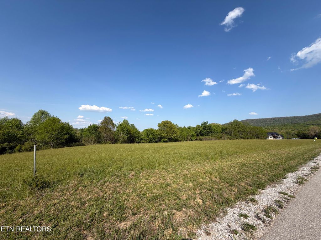 Photo of 45 Houston Drive, Crossville, TN 38555 (MLS # 1338150)