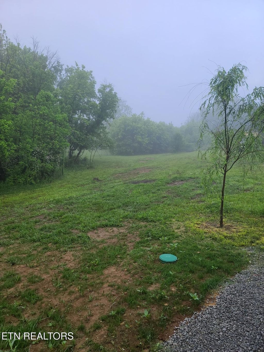 Photo of 27435 Rhea County Hwy, Spring City, TN 37381 (MLS # 1311182)