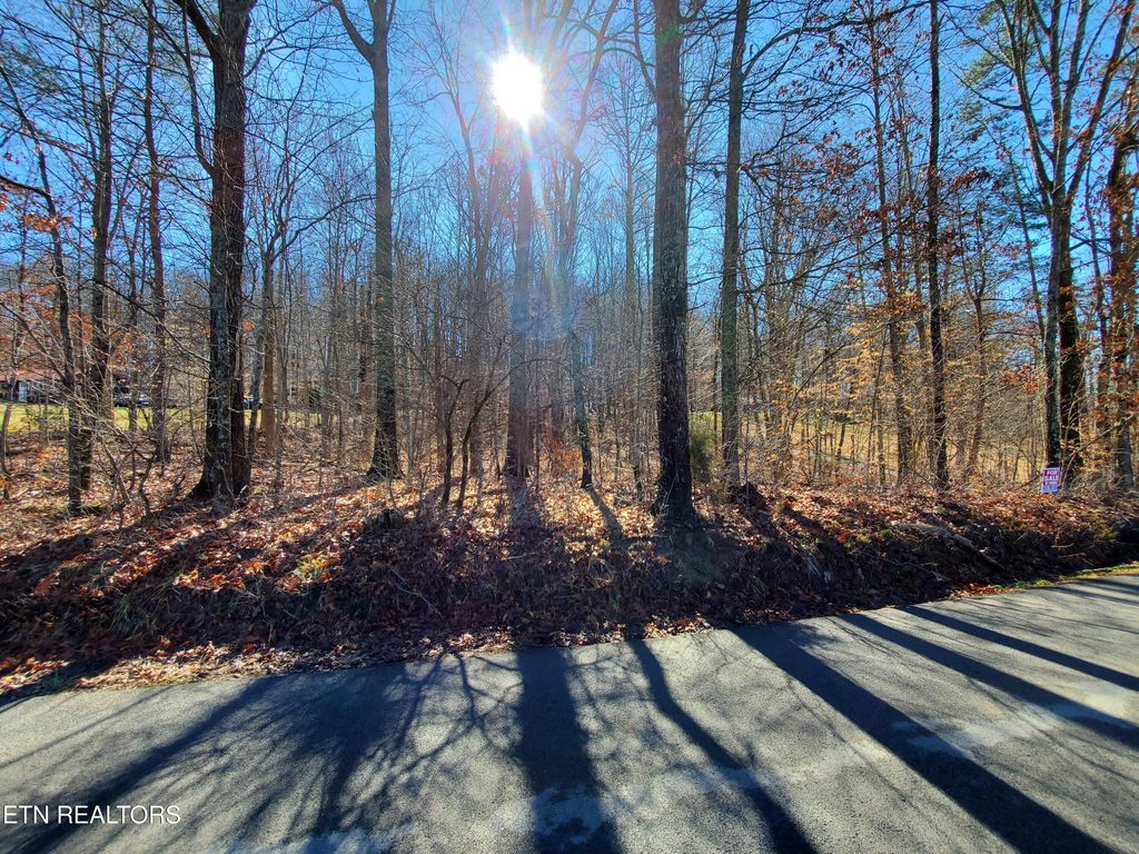 Photo of 0 Lester Jarnigan Rd, Rutledge, TN 37861 (MLS # 1336435)