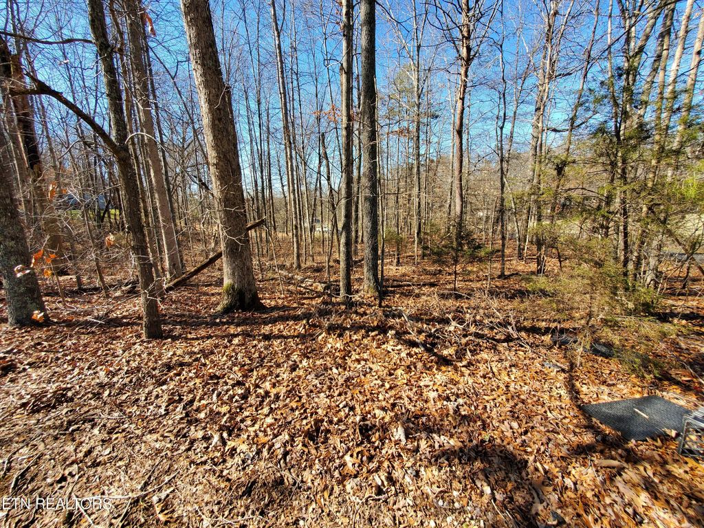 Photo of 0 Lester Jarnigan Rd, Rutledge, TN 37861 (MLS # 1336435)