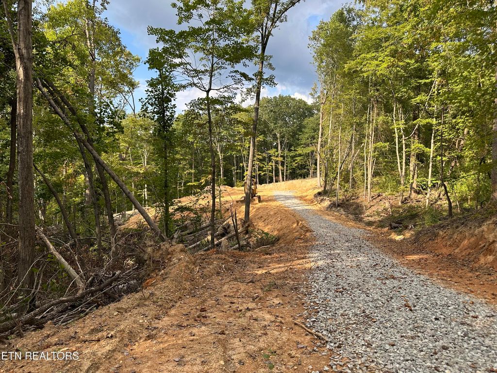 Photo of 118 Summit Hills Drive, Rocky Top, TN 37769 (MLS # 1315706)