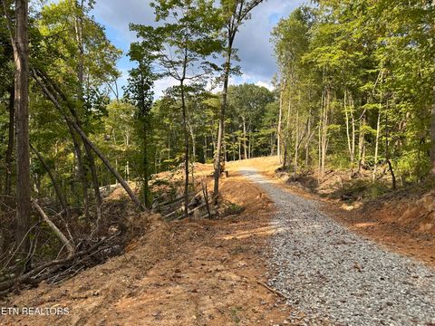 Photo of 118 Summit Hills Drive, Rocky Top, TN 37769 (MLS # 1315706)