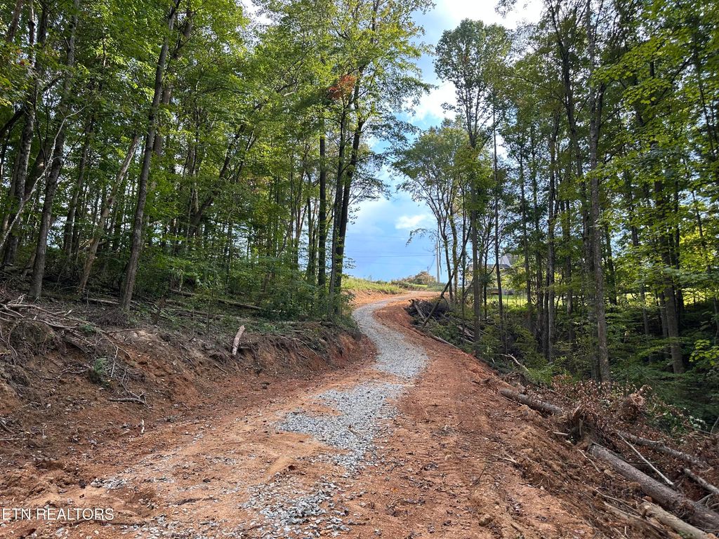 Photo of 118 Summit Hills Drive, Rocky Top, TN 37769 (MLS # 1315706)