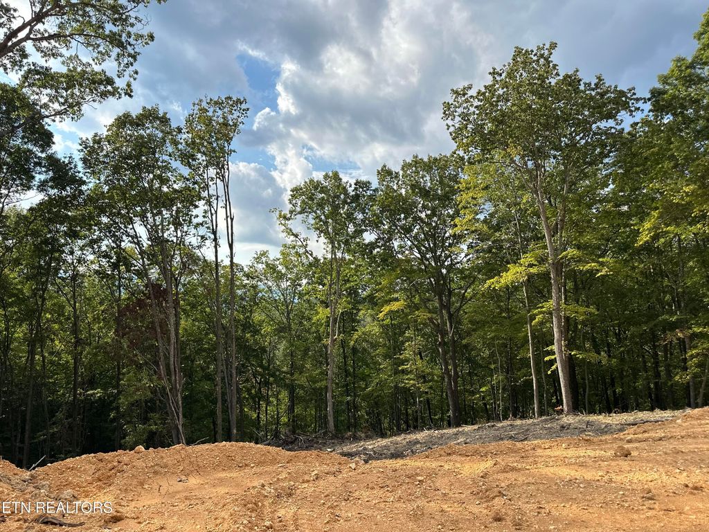 Photo of 118 Summit Hills Drive, Rocky Top, TN 37769 (MLS # 1315706)