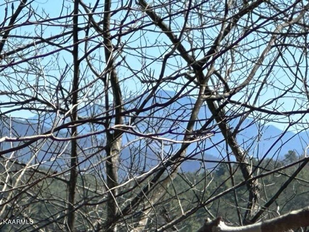 Photo of Stonegate Way, Townsend, TN 37882 (MLS # 1224867)