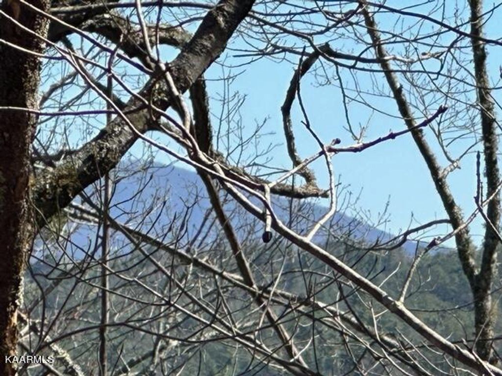 Photo of Stonegate Way, Townsend, TN 37882 (MLS # 1224867)