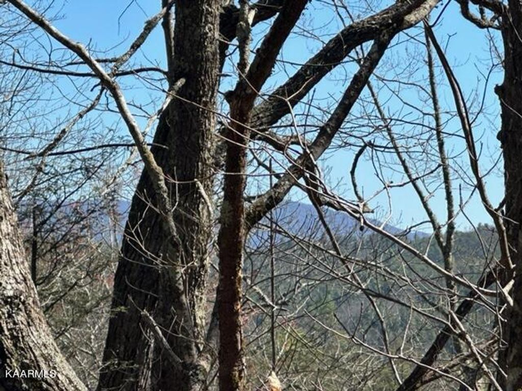 Photo of Stonegate Way, Townsend, TN 37882 (MLS # 1224867)