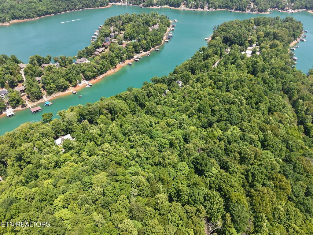 Photo of Yoakum Hollow Rd, Jacksboro, TN 37757 (MLS # 1341468)