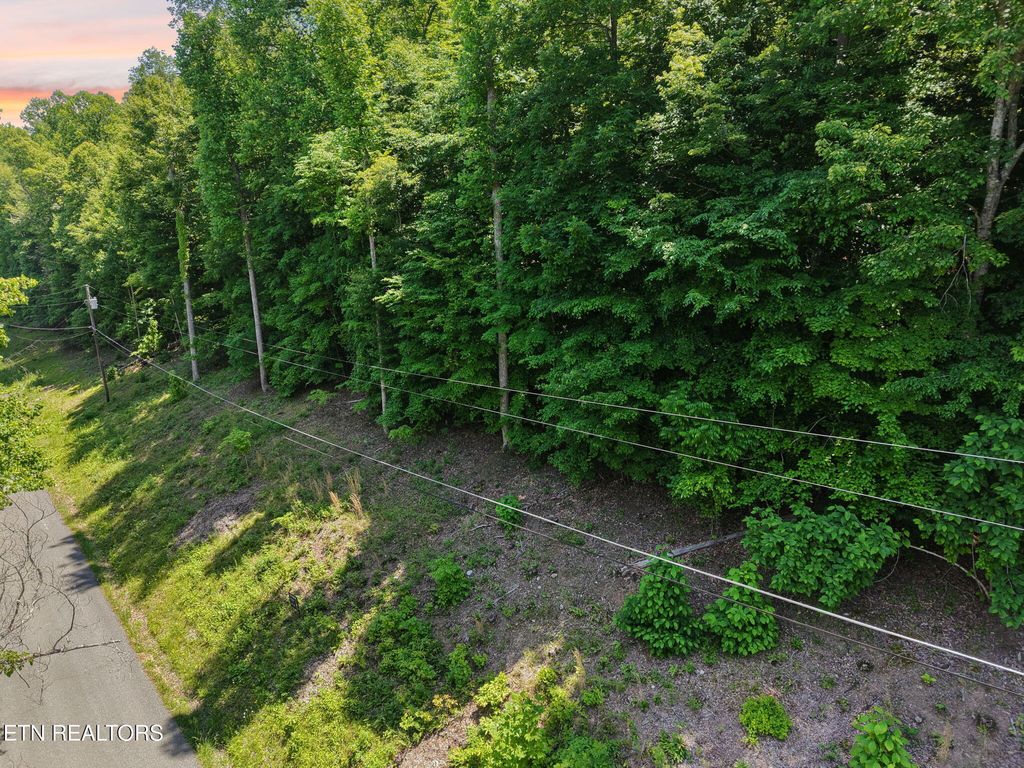 Photo of Yoakum Hollow Rd, Jacksboro, TN 37757 (MLS # 1341468)