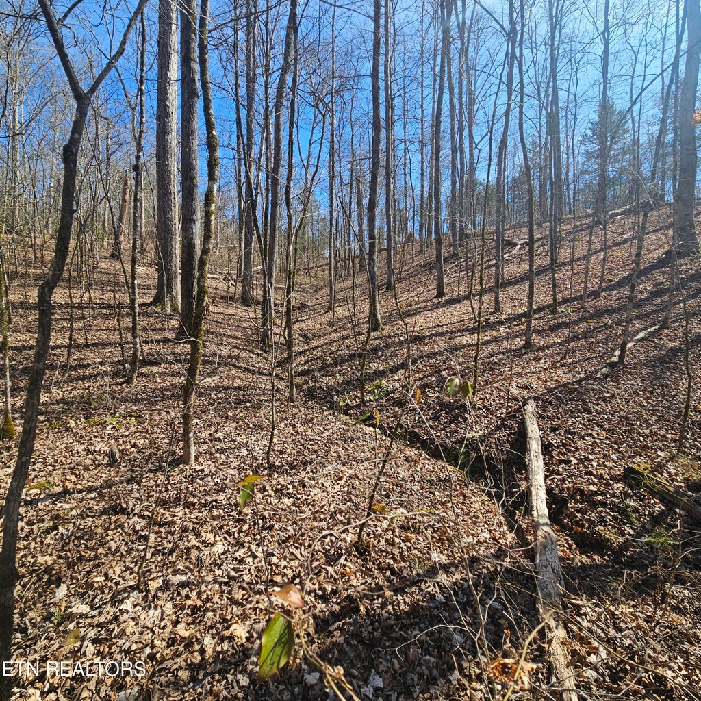 Photo of Lick Creek Rd, Tellico Plains, TN 37385 (MLS # 1355085)