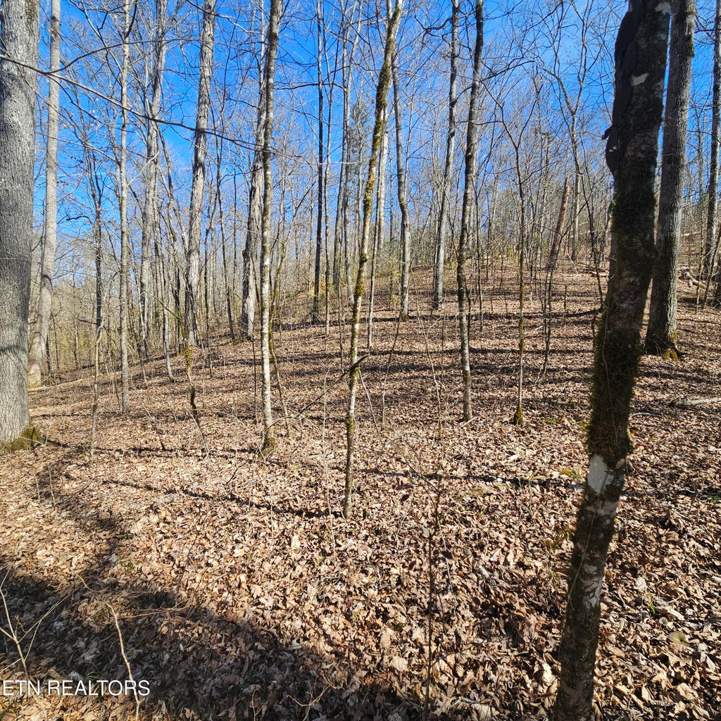 Photo of Lick Creek Rd, Tellico Plains, TN 37385 (MLS # 1355085)