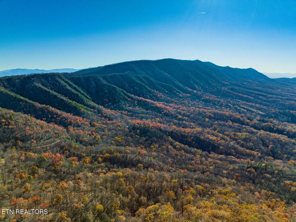 Photo of Seay Lane, Dandridge, TN 37725 (MLS # 1290387)