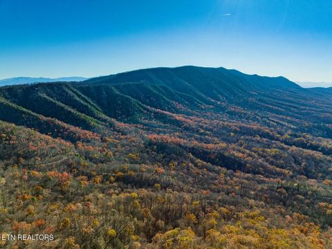 Seay Lane Dandridge TN 37725