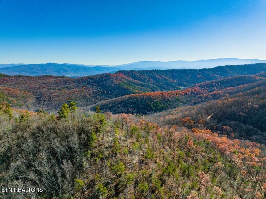 Photo of Seay Lane, Dandridge, TN 37725 (MLS # 1290387)