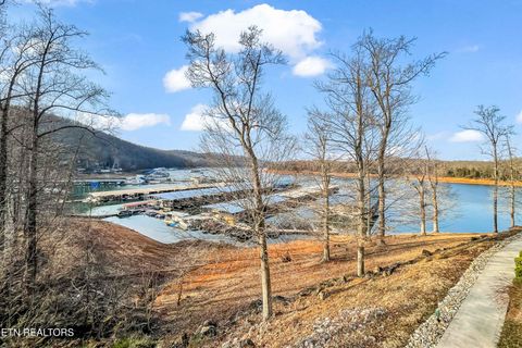 Tiny photo for 121 Pinnacle Point, Andersonville, TN 37705 (MLS # 1329174)