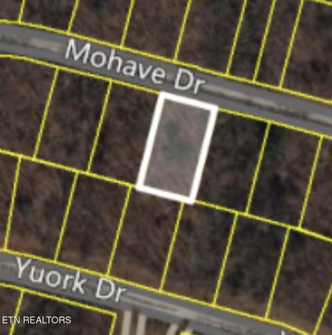 Photo of 1134 Mohave Drive, Crossville, TN 38572 (MLS # 1333301)