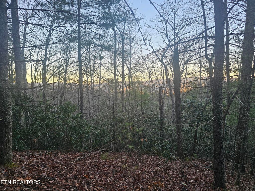 Photo of 120 Greystone Way, Townsend, TN 37882 (MLS # 1301188)