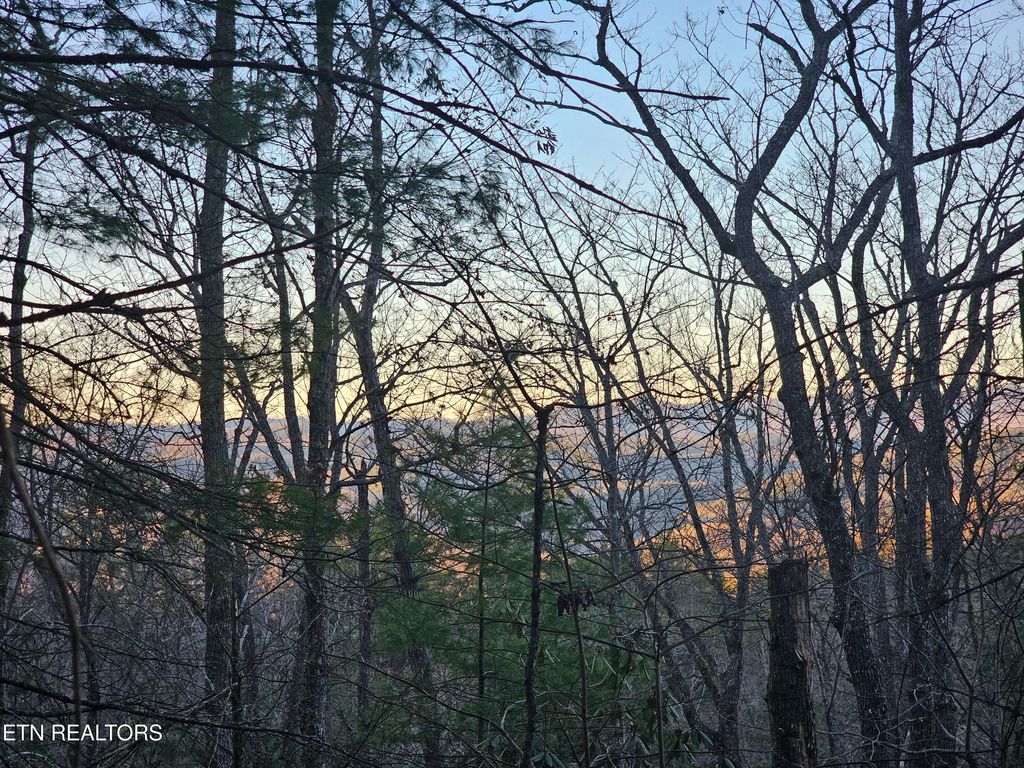 Photo of 120 Greystone Way, Townsend, TN 37882 (MLS # 1301188)