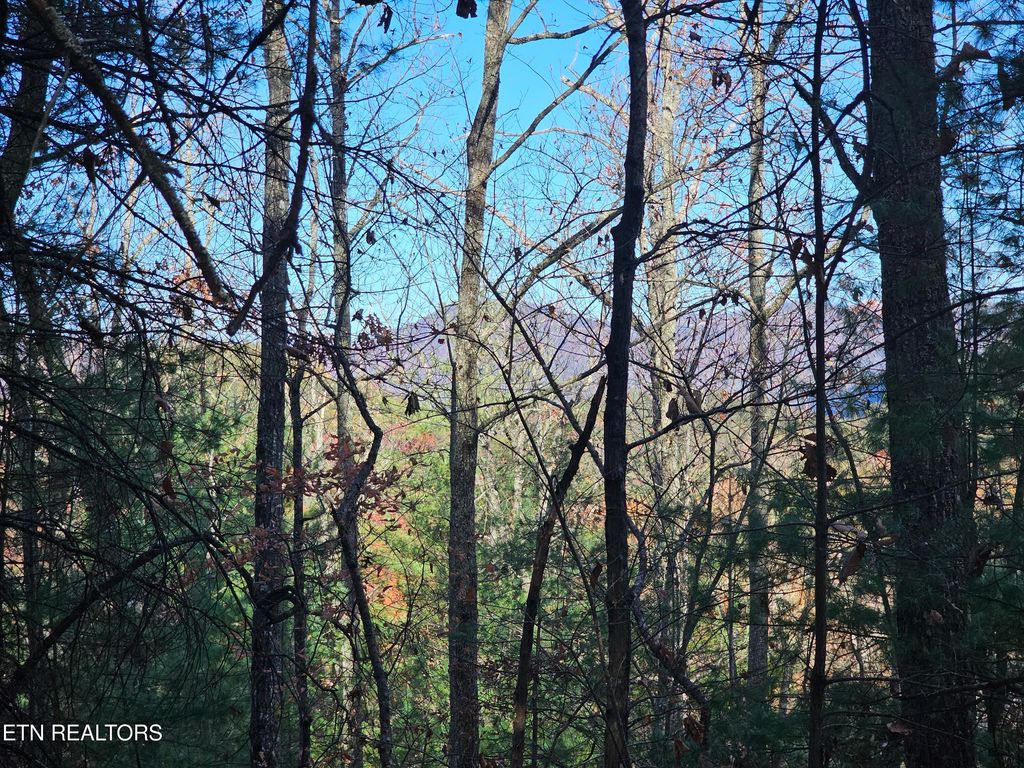 Photo of 120 Greystone Way, Townsend, TN 37882 (MLS # 1301188)