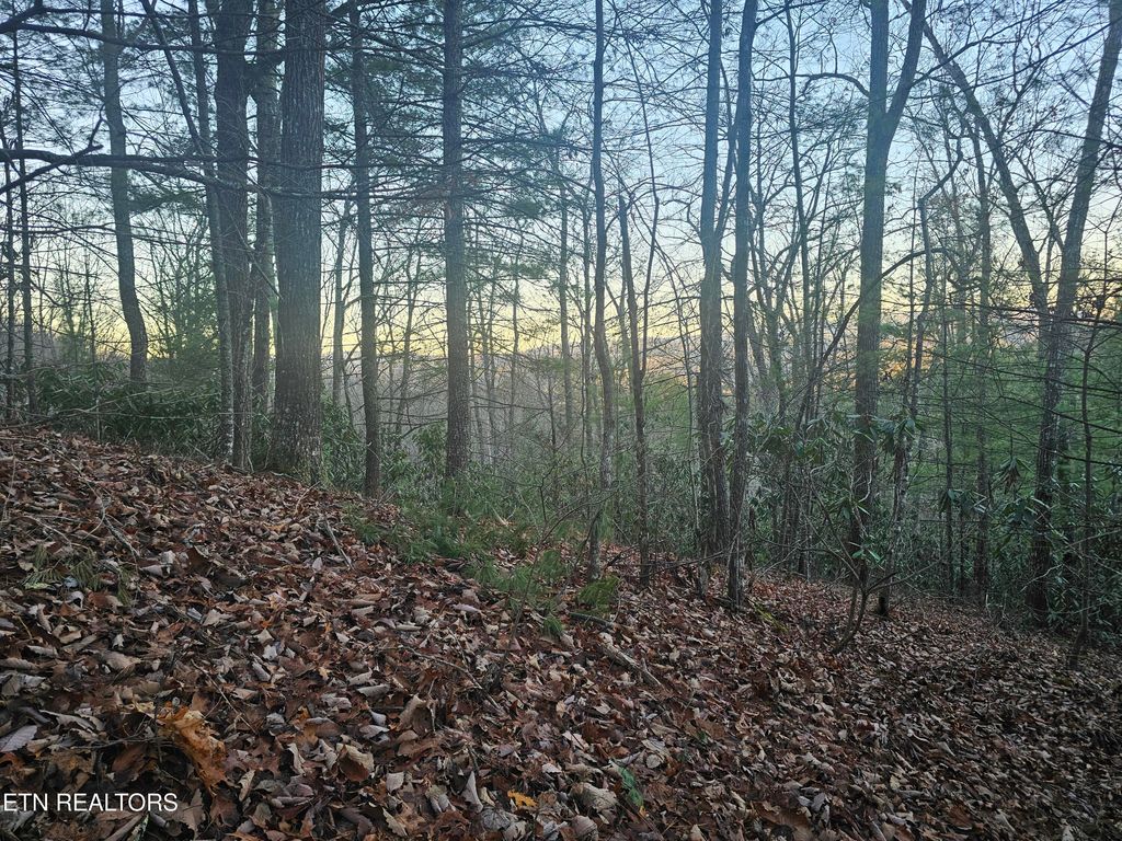 Photo of 120 Greystone Way, Townsend, TN 37882 (MLS # 1301188)