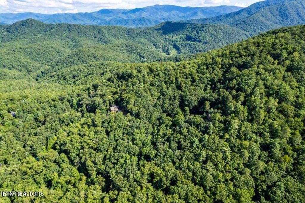 Photo of 120 Greystone Way, Townsend, TN 37882 (MLS # 1301188)