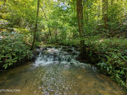 HOOPER HWY, COSBY, TN 37722 - Image e26b4638c63aee2799107b3a05eb4e1b/3601494559