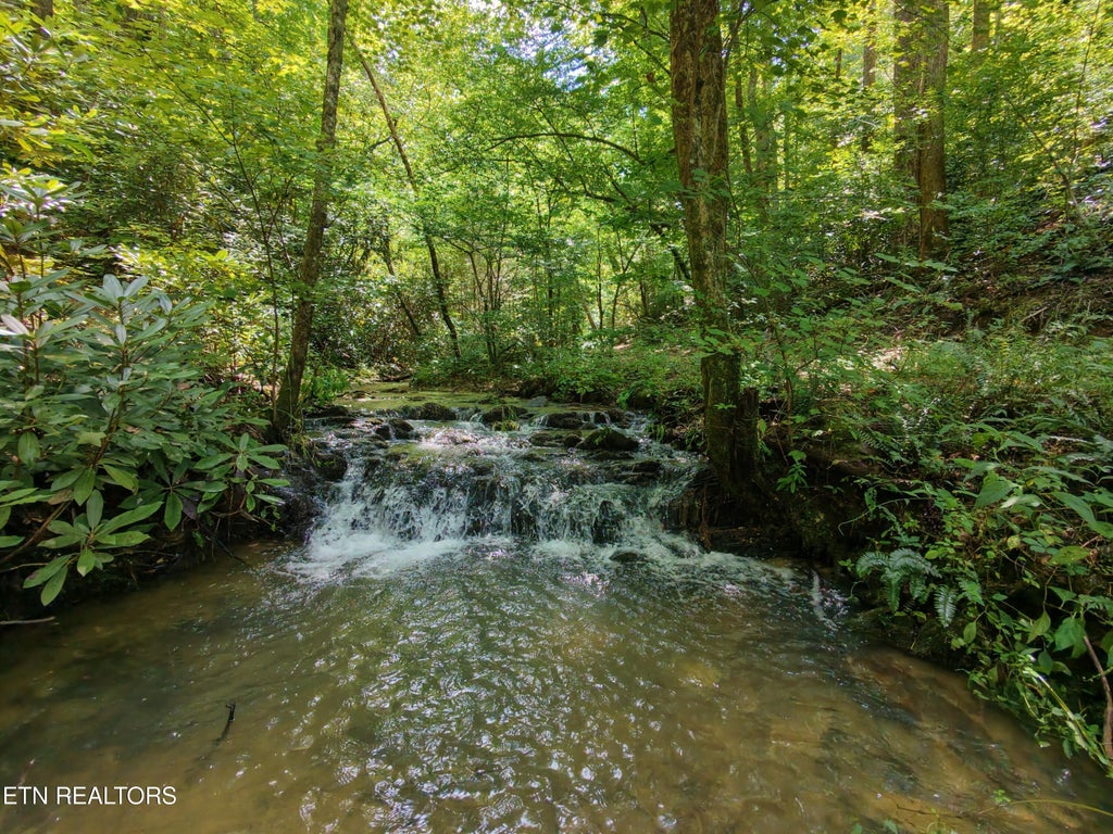 Photo of Hooper Hwy, Cosby, TN 37722 (MLS # 1351076)