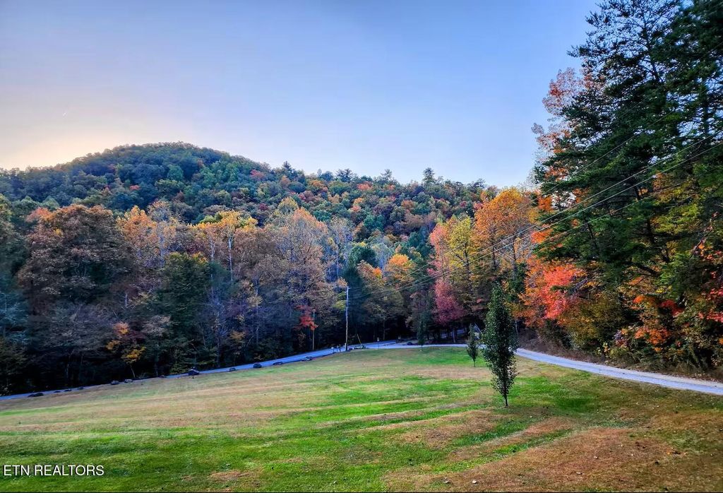 Photo of 676 Rocky Flats Rd, Cosby, TN 37722 (MLS # 1332922)