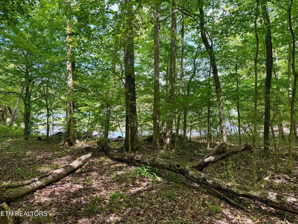 Photo of Lot 2 Eagle Ridge Rd, Kingston, TN 37763 (MLS # 1338846)