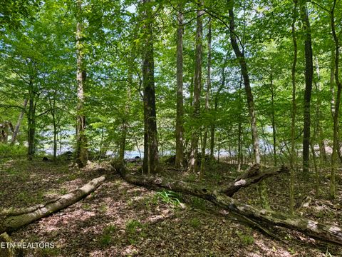 Photo of Lot 2 Eagle Ridge Rd, Kingston, TN 37763 (MLS # 1338846)
