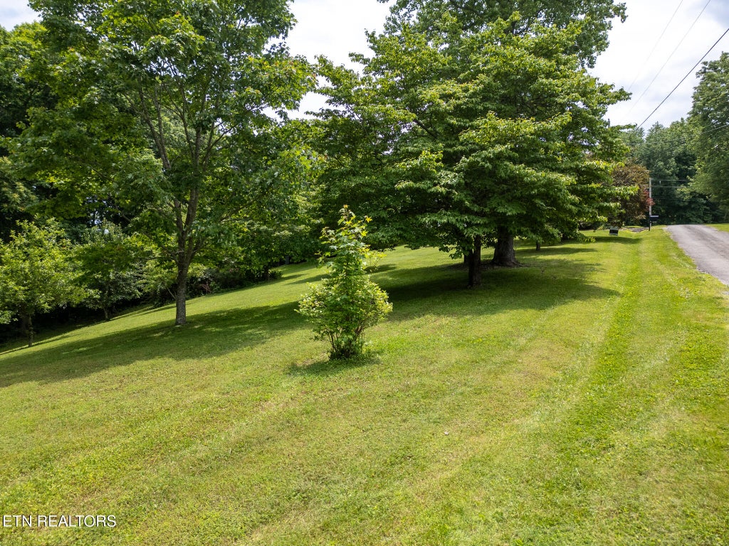 Photo of 1 Lafever Ridge Rd, Silver Point, TN 38582 (MLS # 1346648)