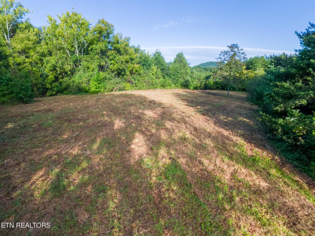 Photo of 408 Shadden Rd, Tellico Plains, TN 37385 (MLS # 1353526)