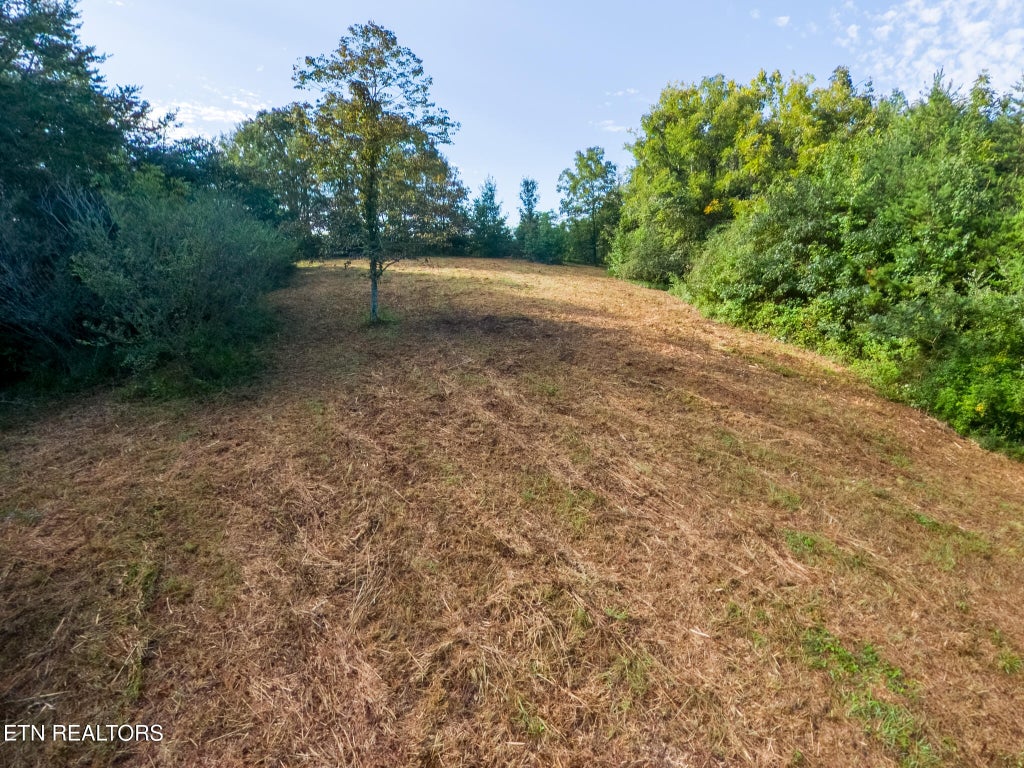 Photo of 408 Shadden Rd, Tellico Plains, TN 37385 (MLS # 1353526)