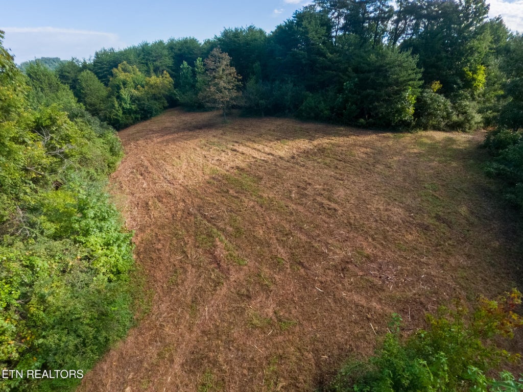Photo of 408 Shadden Rd, Tellico Plains, TN 37385 (MLS # 1353526)