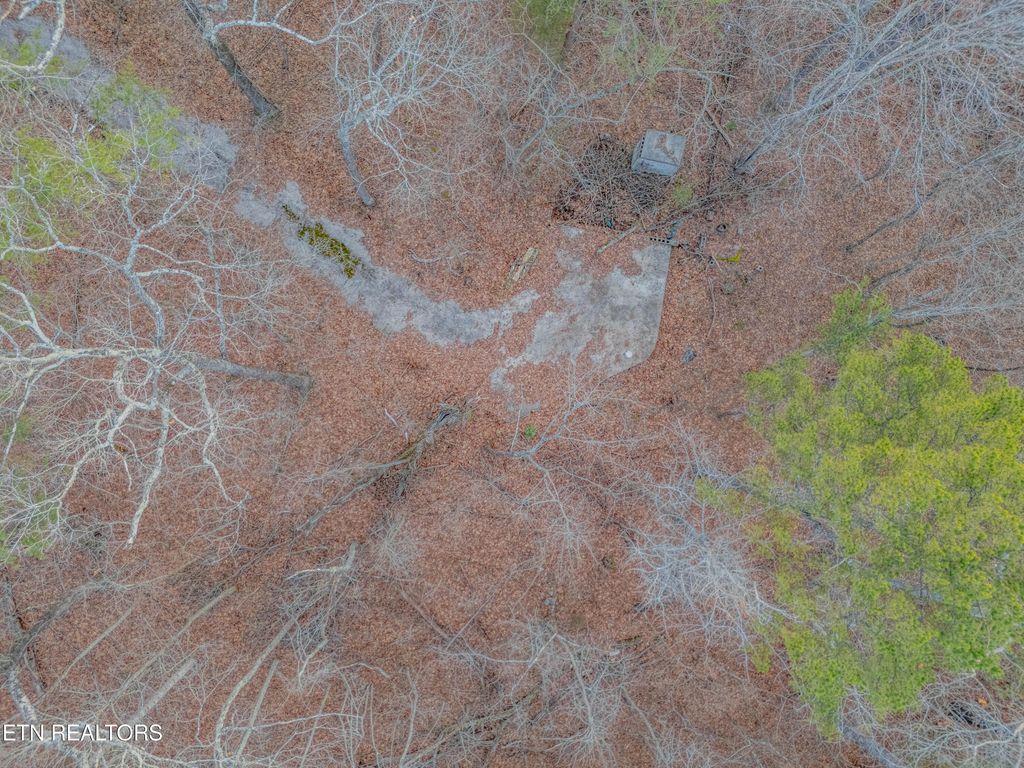 Photo of 190 Hall St, Rockwood, TN 37854 (MLS # 1289717)