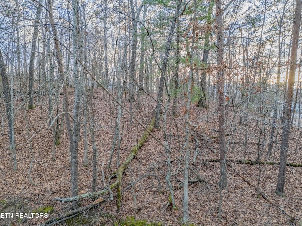 Photo of 190 Hall St, Rockwood, TN 37854 (MLS # 1289717)