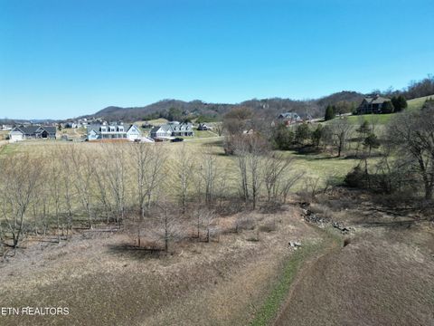 Tiny photo for Lawrence, Sharps Chapel, TN 37866 (MLS # 1330987)