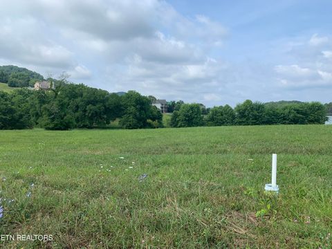 Tiny photo for Lawrence, Sharps Chapel, TN 37866 (MLS # 1330987)