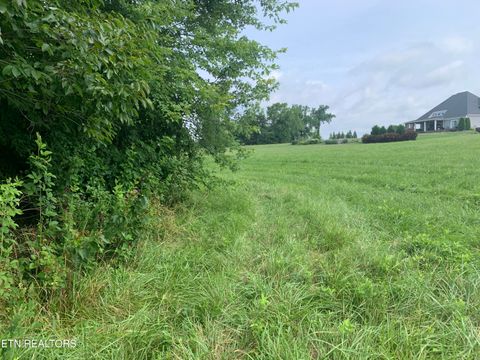 Tiny photo for Lawrence, Sharps Chapel, TN 37866 (MLS # 1330987)