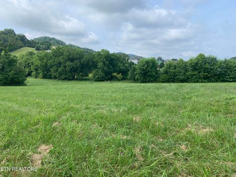 Tiny photo for Lawrence, Sharps Chapel, TN 37866 (MLS # 1330987)