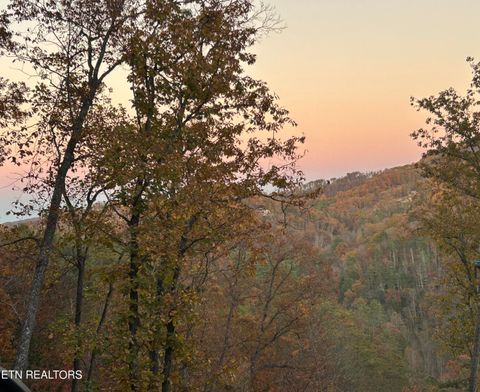Photo of 1 Sunset Rd, Sevierville, TN 37862 (MLS # 1321281)