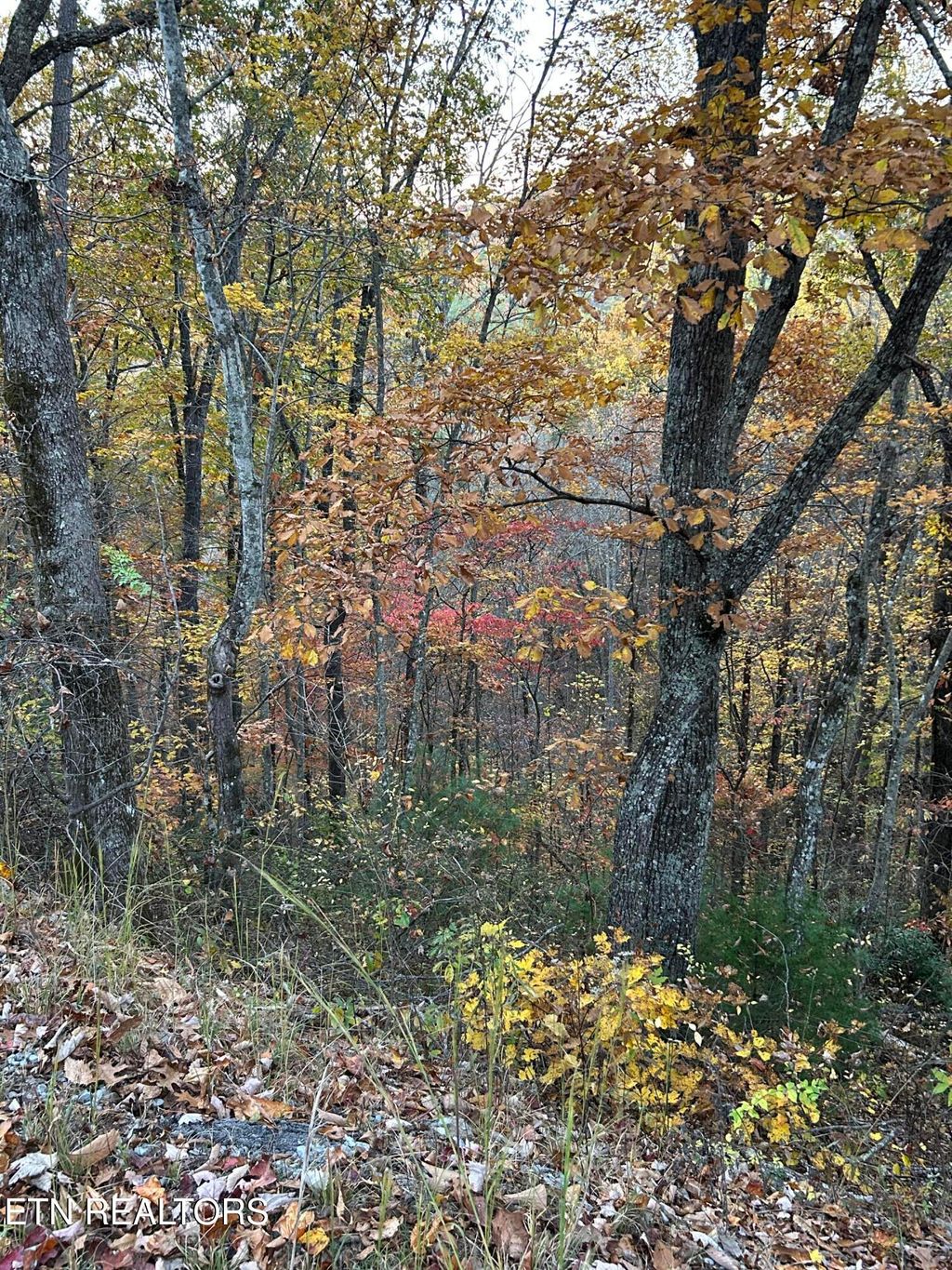 Photo of 1 Sunset Rd, Sevierville, TN 37862 (MLS # 1321281)