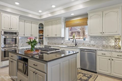 Tiny photo for 1623 Fledgling Lane, Talbott, TN 37877 (MLS # 1323810)